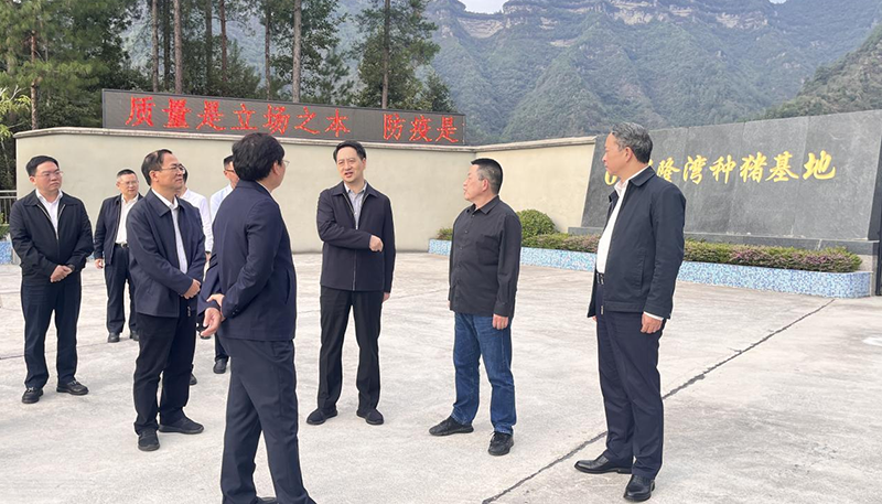 鄭向東副市長到69畜牧公司調(diào)研指導