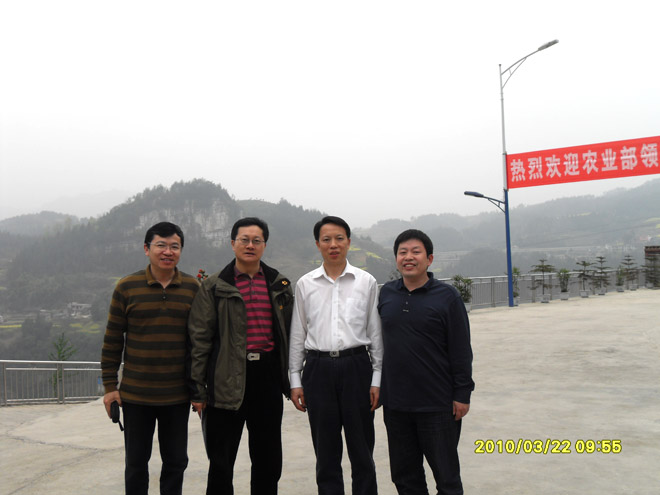 農(nóng)業(yè)農(nóng)村部張?zhí)熳艨値?、陳章全司長到重慶69指導工作